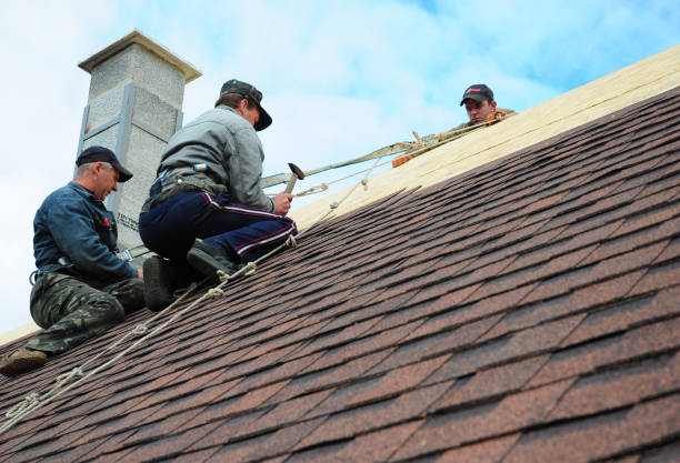 Best Roof Repair Services  in Du Quoin, IL